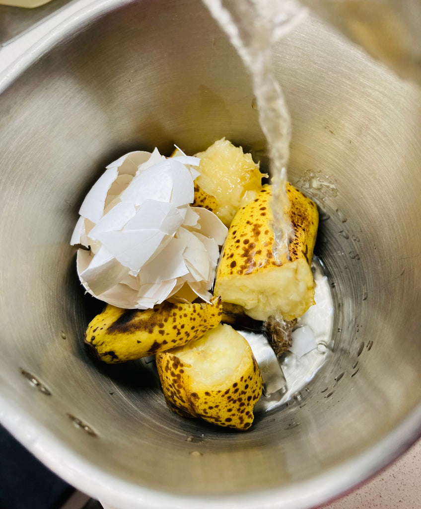 Make Rose Fertilizer at home with Ripe Bananas and Eggshells