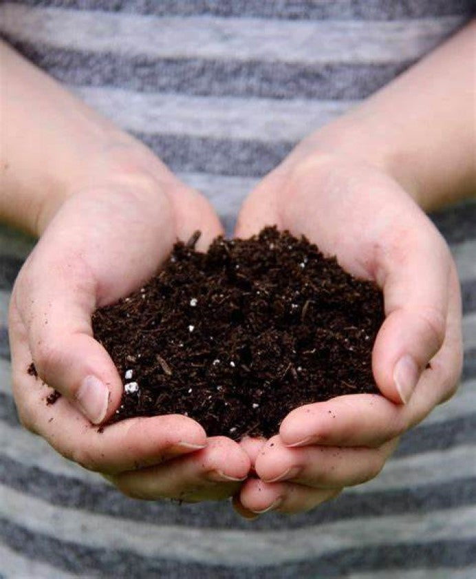 How to make your own Potting Mix for a Vegetable Garden?
