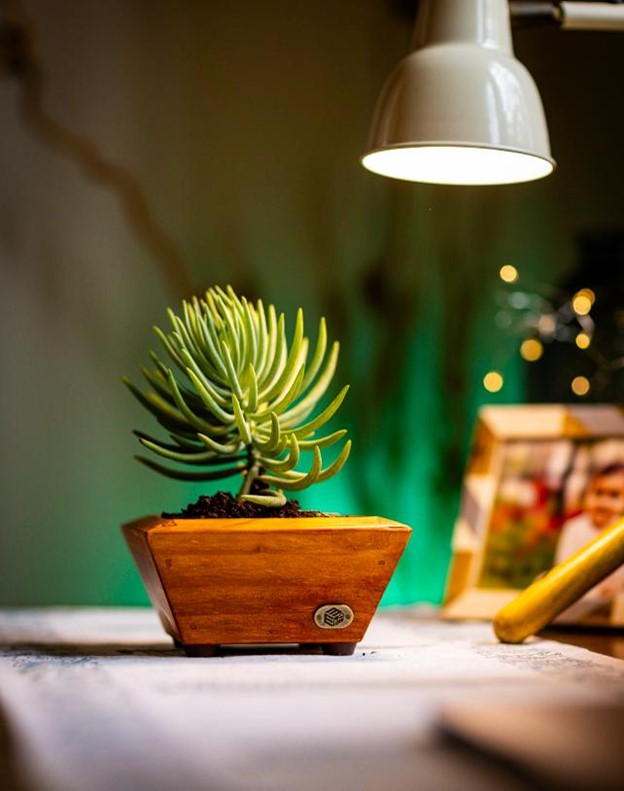 Angular Tray Small