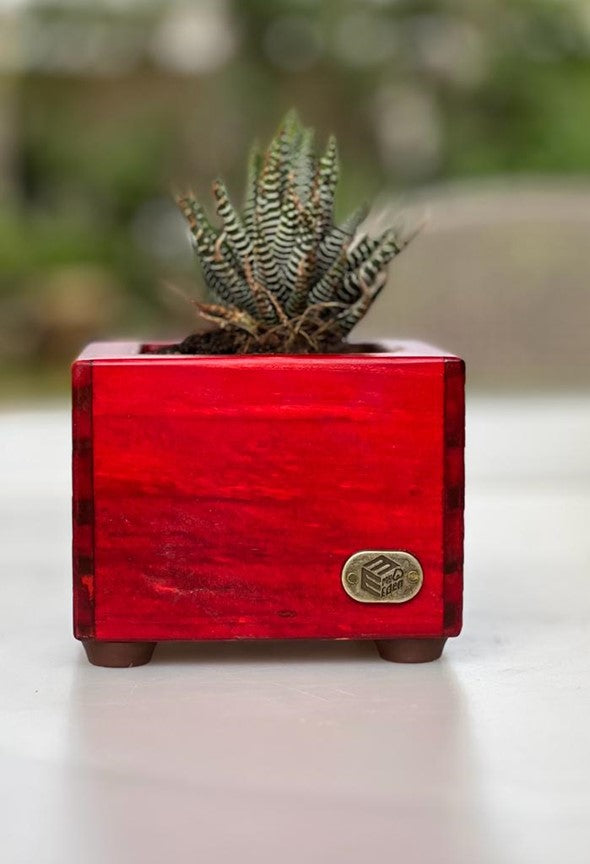 Square Extra Small