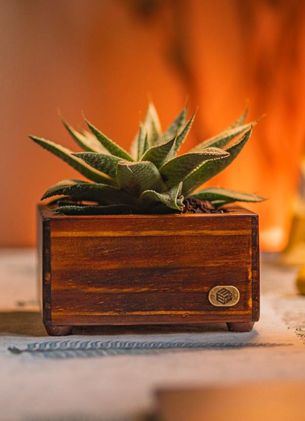 Square Tray Small