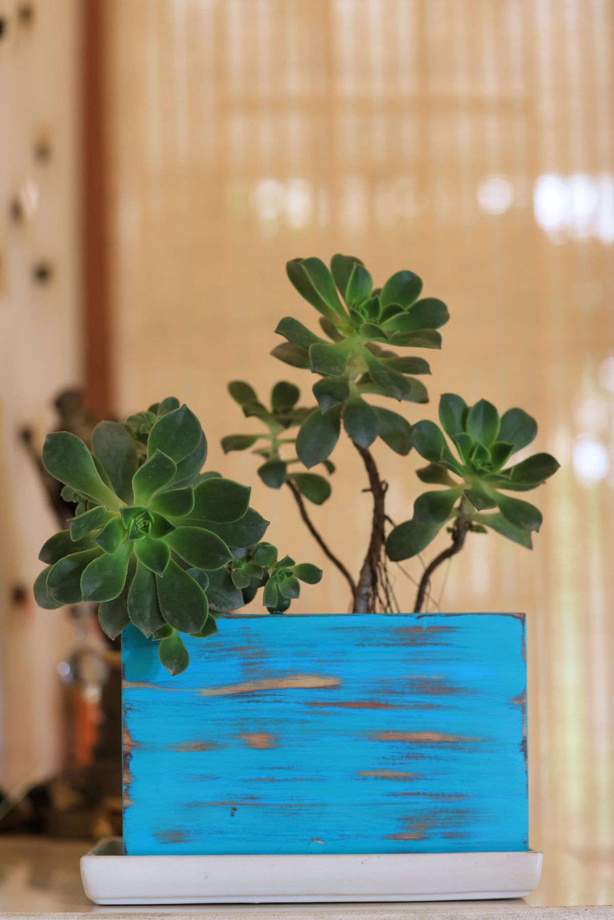 Home Decor Rectangular Small