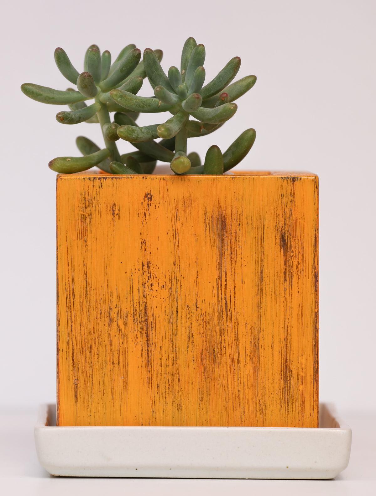 Home Decor Square Small