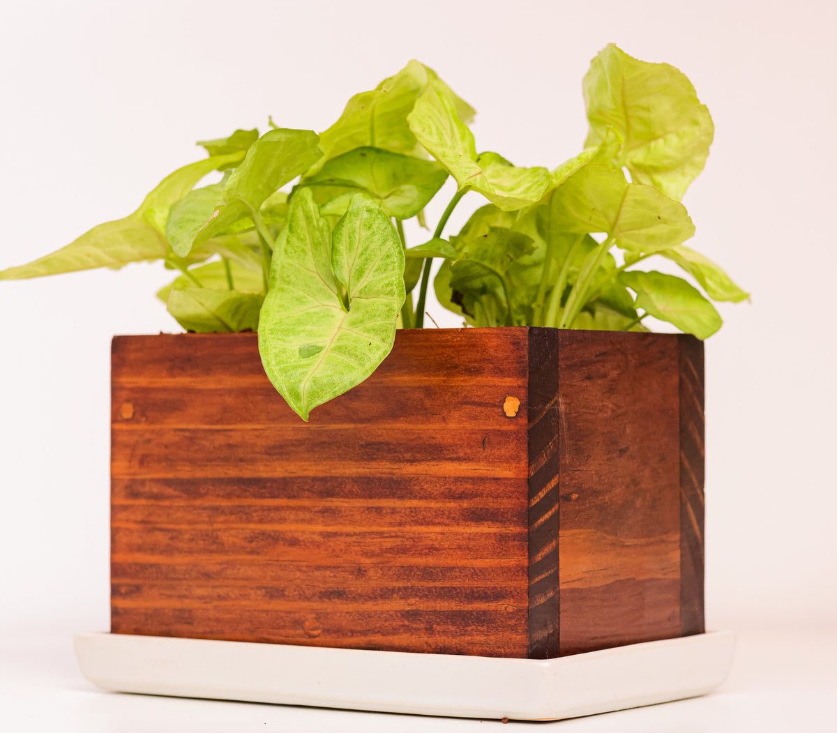 Home Decor Rectangular Small