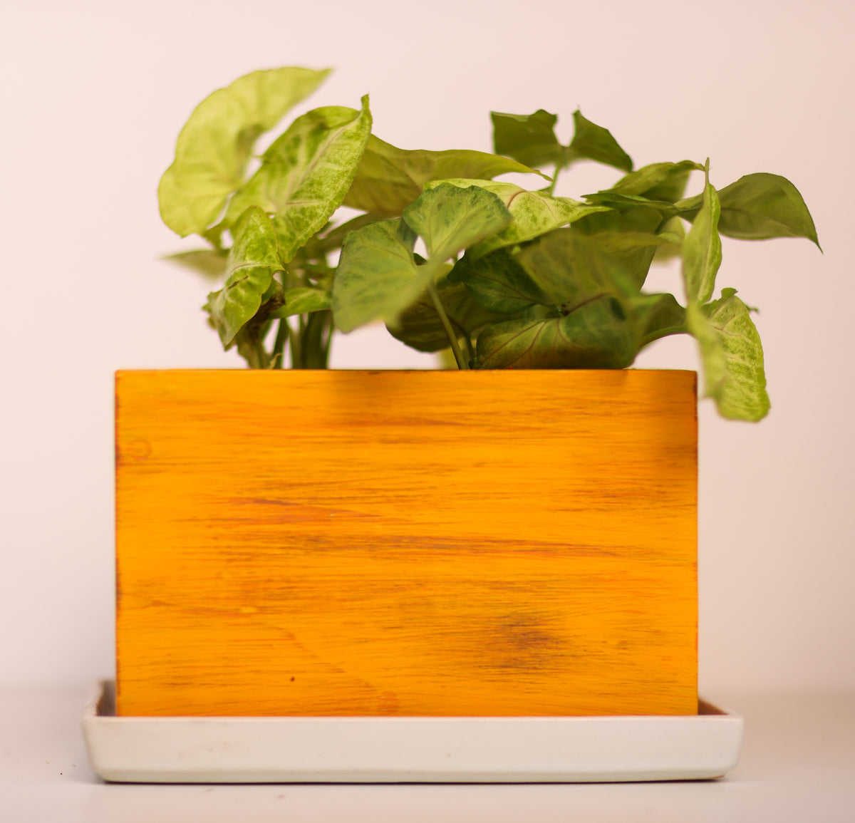 Home Decor Rectangular Small