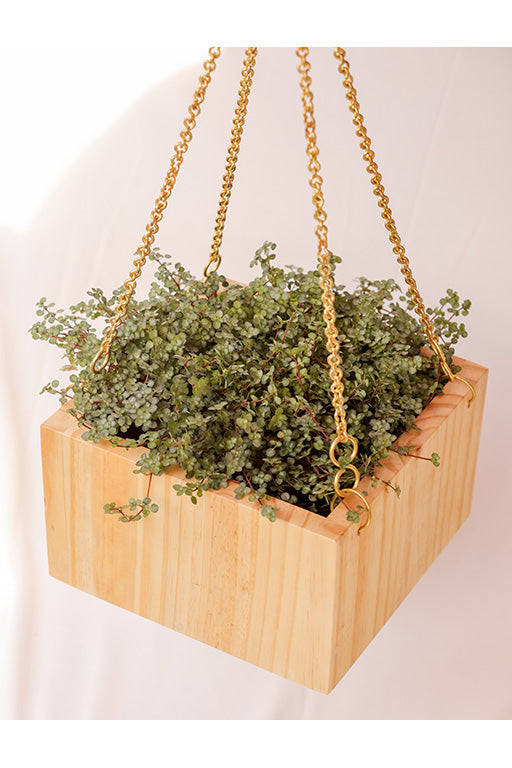 Hanging Square Basket