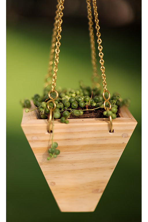 Hanging Triangular Basket