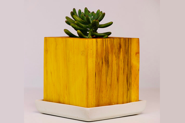 Home Decor Square Small