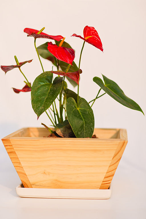 Home Decor Angular Square