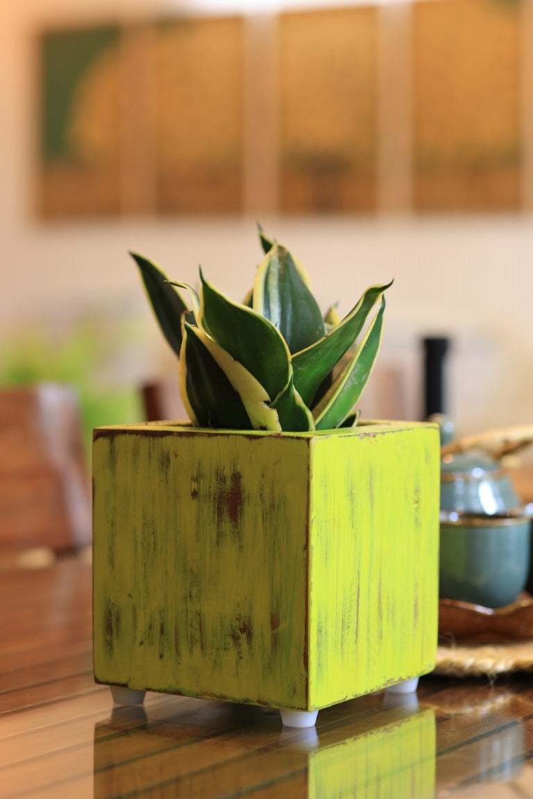 Home Decor Square Small