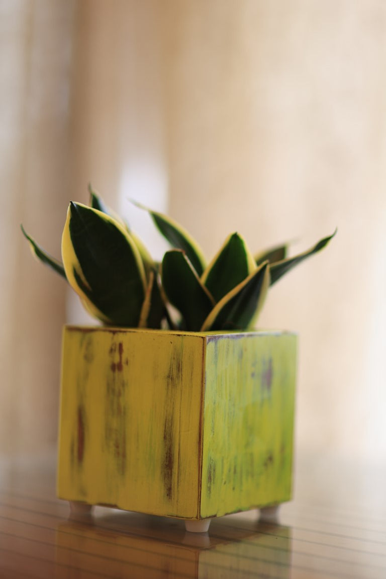 Home Decor Square Small