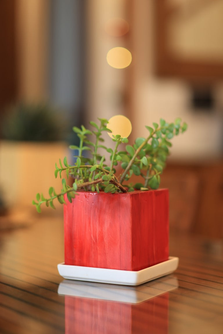 Home Decor Square Small