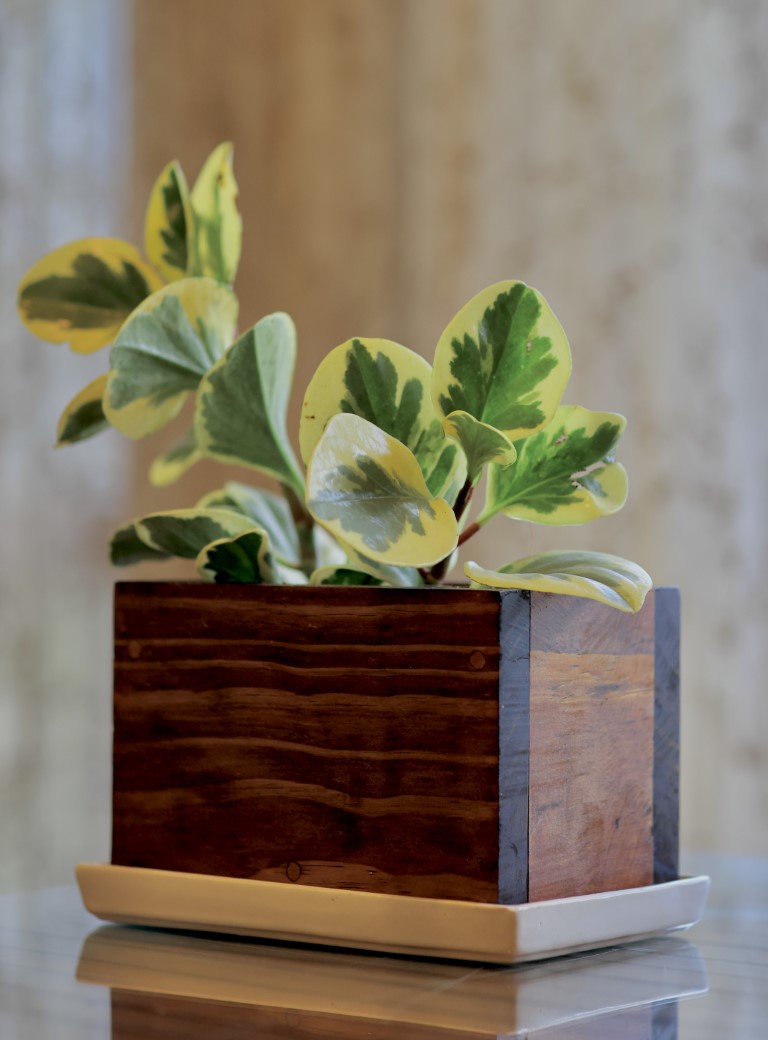 Home Decor Rectangular Small