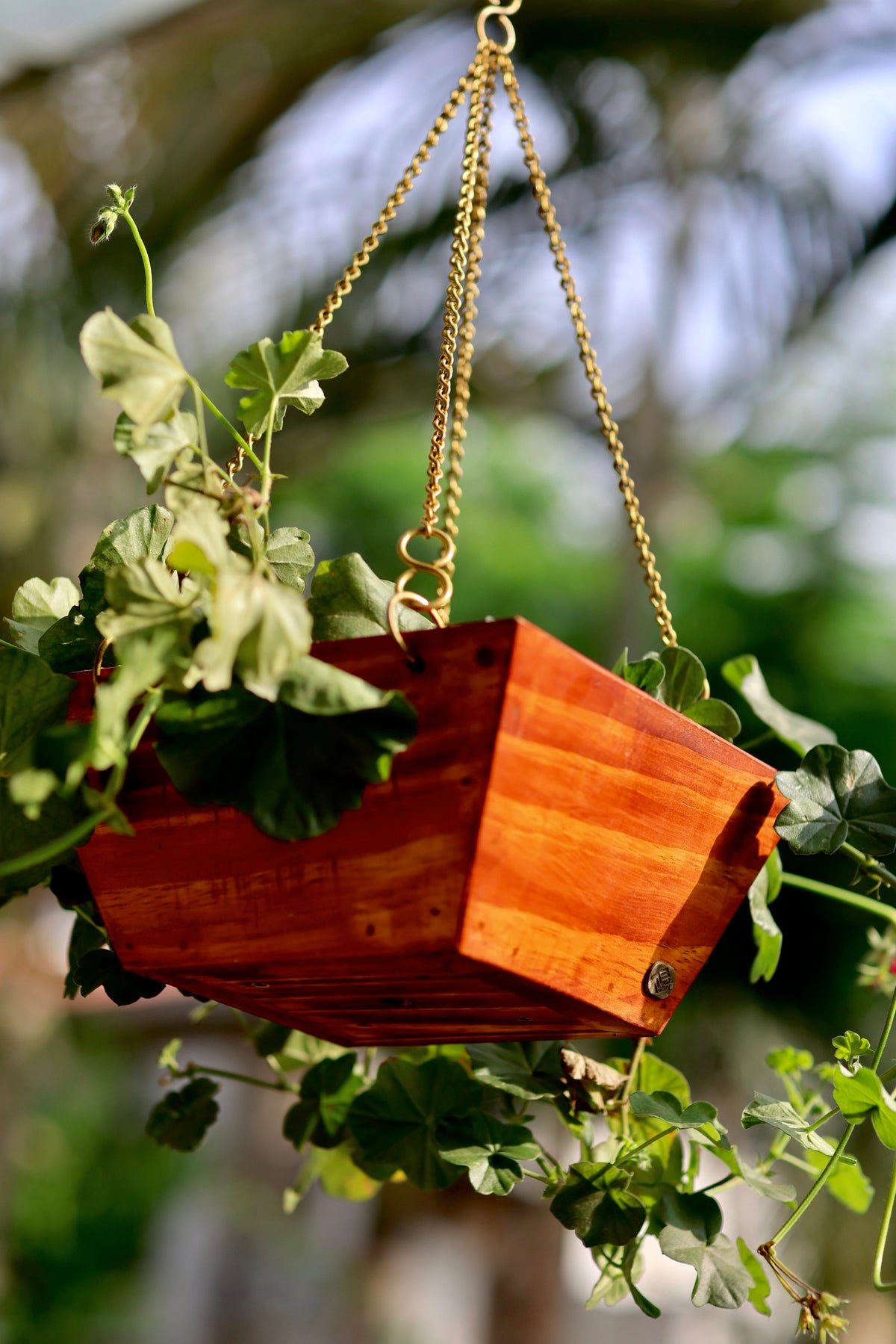 Hanging Angular Square Basket