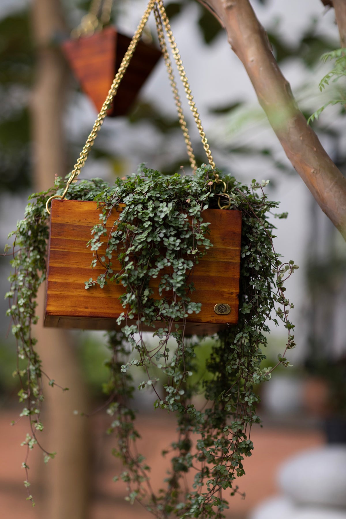 Hanging Square Basket
