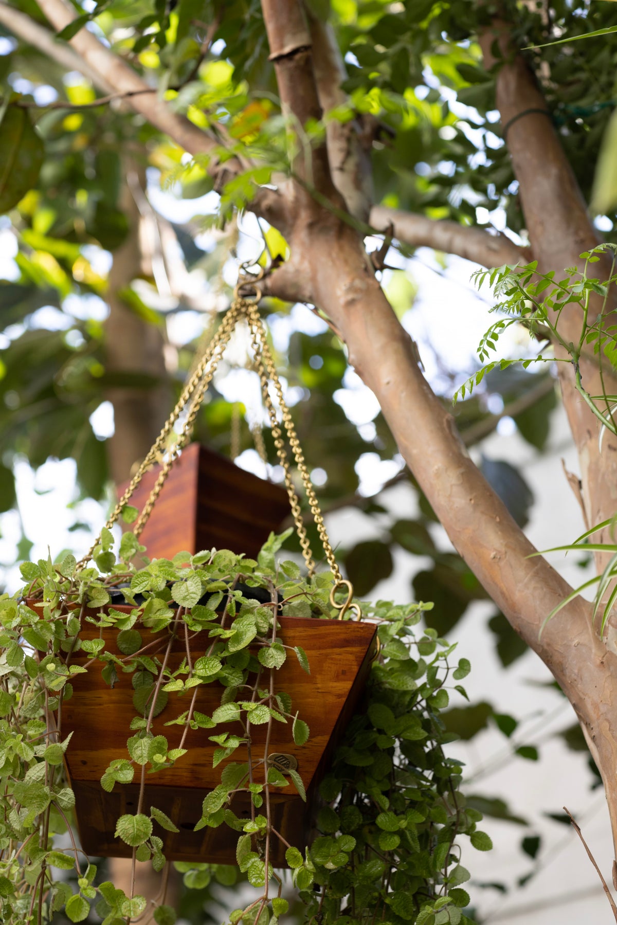 Hanging Angular Square Basket