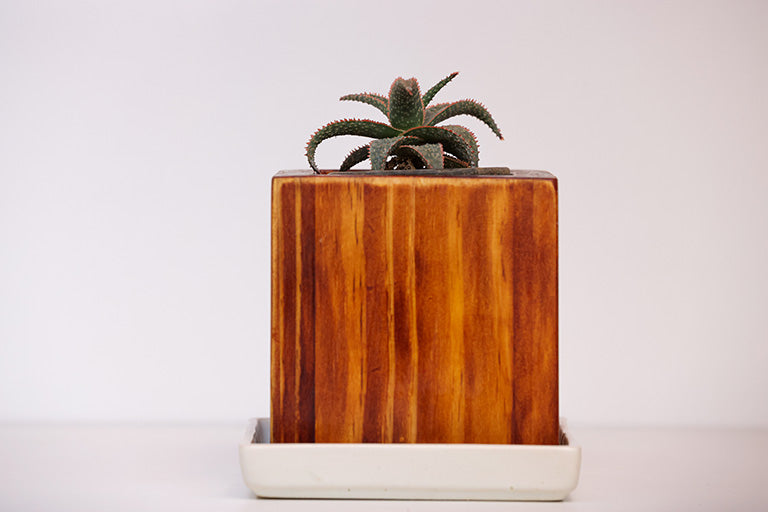Home Decor Square Small