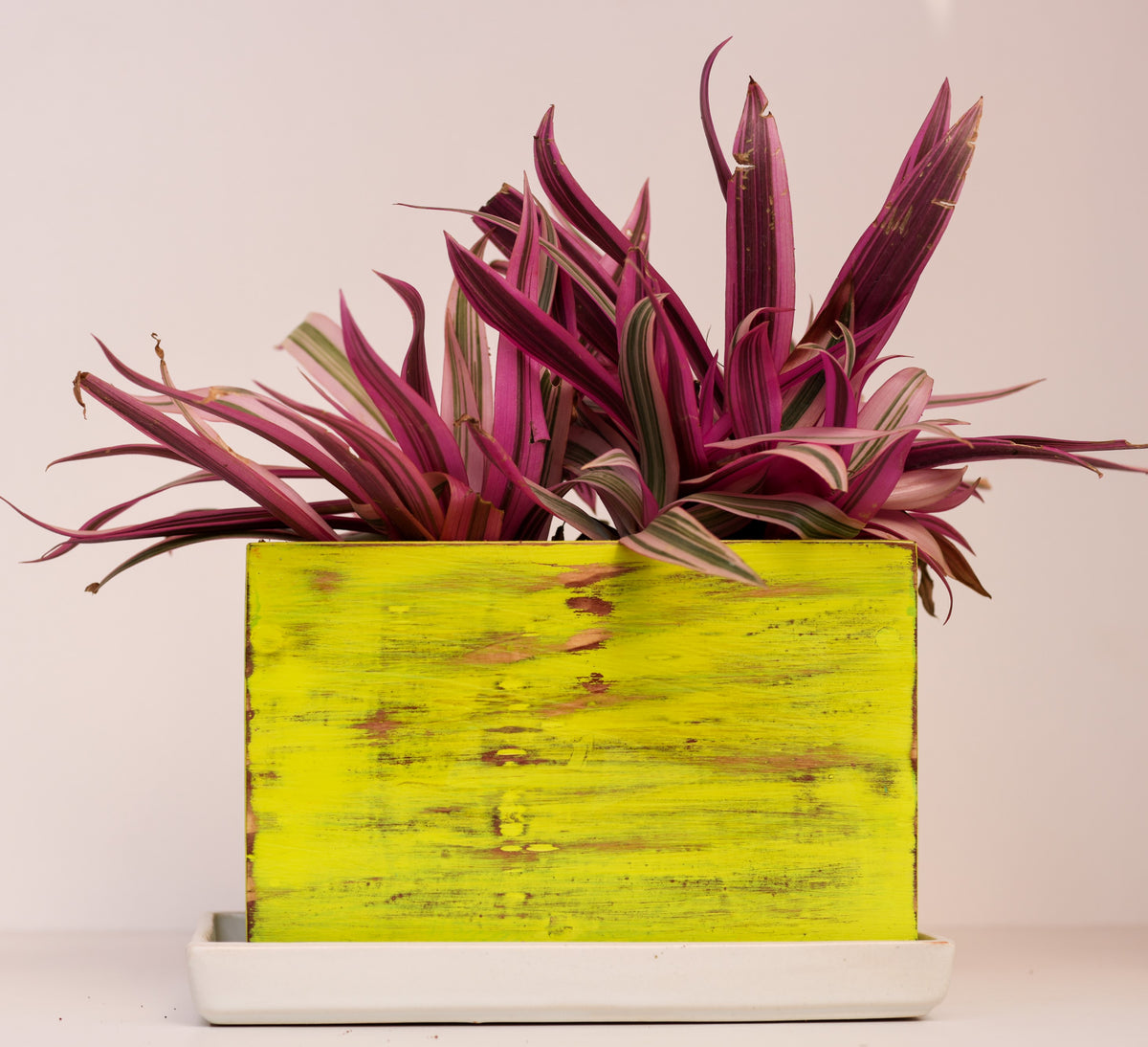 Home Decor Rectangular Small