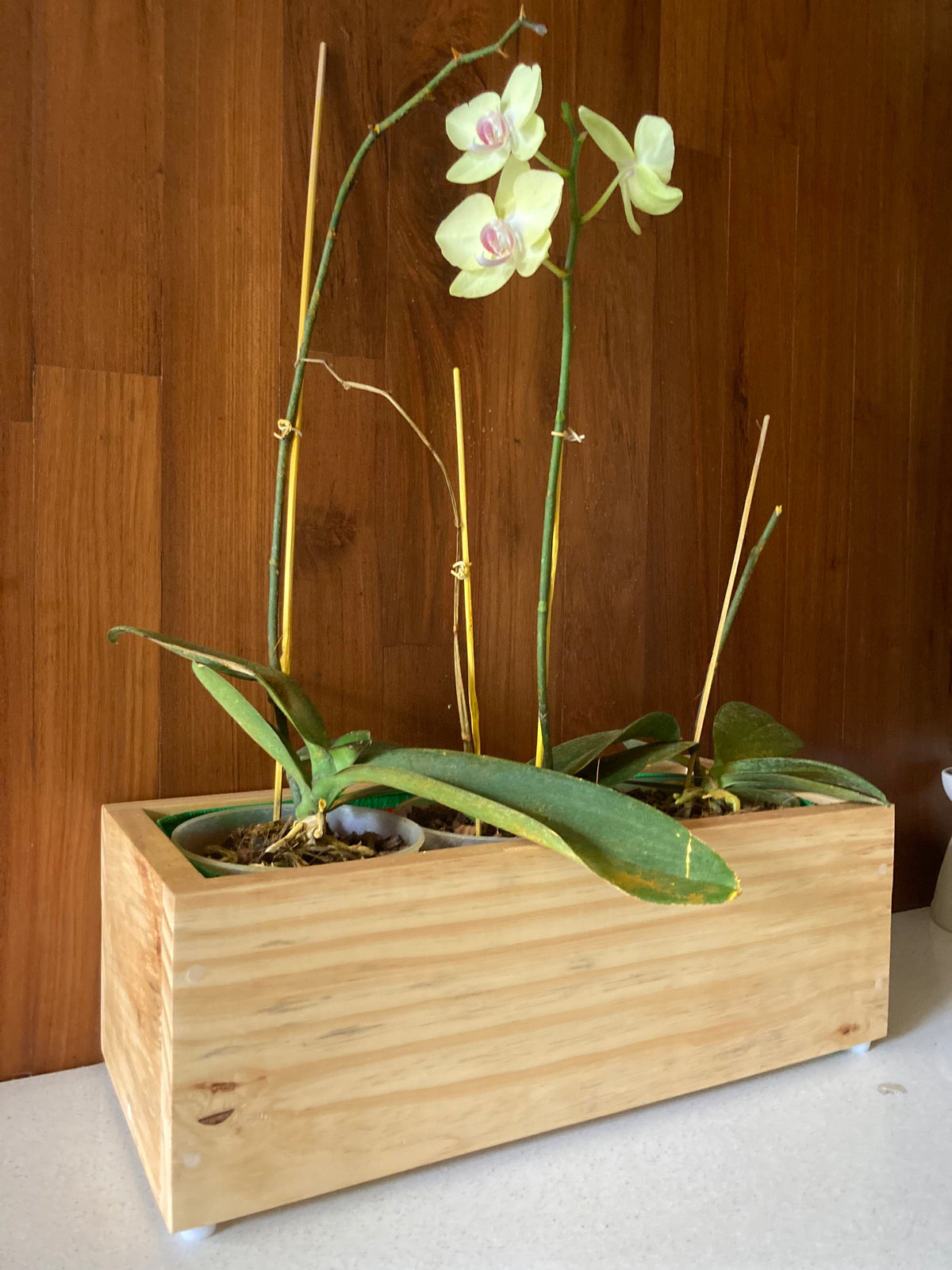 Home Decor Rectangular Medium