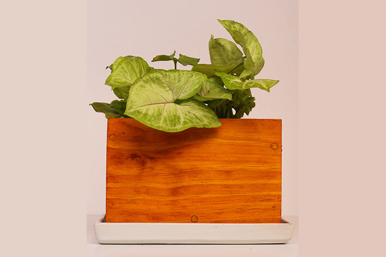 Home Decor Rectangular Small