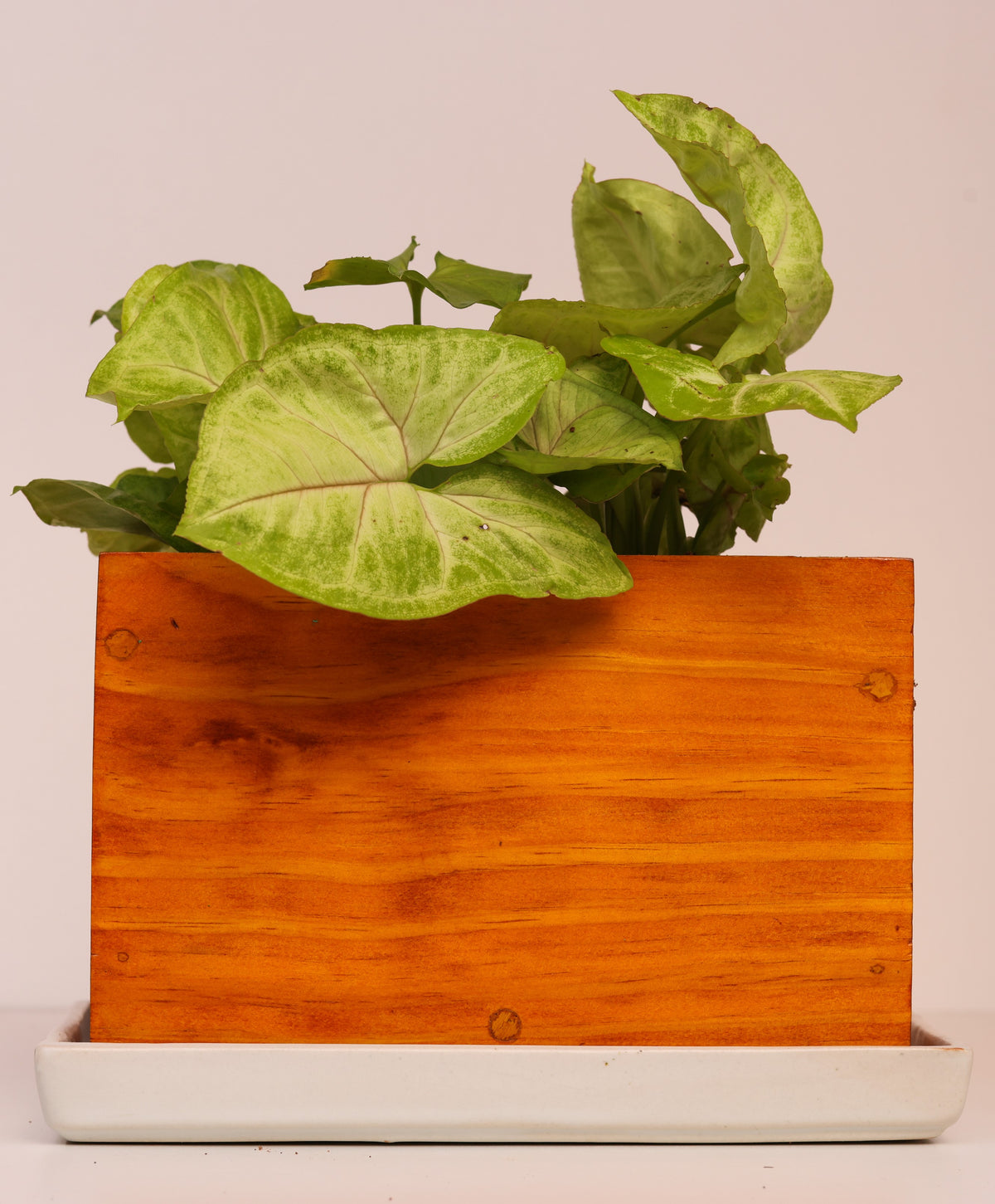 Home Decor Rectangular Small